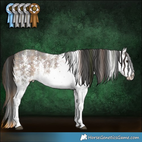 Horse Color:Plaid  White Spotted Liver Chestnut 
