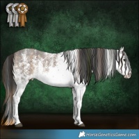 Horse Color:Plaid  White Spotted Liver Chestnut 
