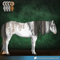 Horse Color:Plaid  White Spotted Liver Chestnut 