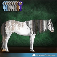 Horse Color:Plaid  White Spotted Liver Chestnut 