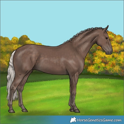 Horse Color:Silver Black 
