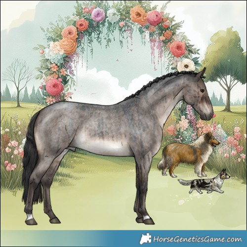 Horse Color:Brown Roan Dun Rabicano Brindle 