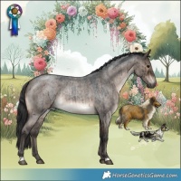 Horse Color:Brown Roan Dun Rabicano Brindle
