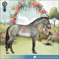 Horse Color:Brown Roan Dun Rabicano Brindle