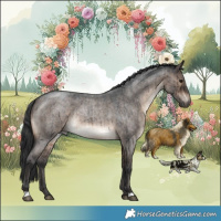 Horse Color:Brown Roan Dun Rabicano Brindle 