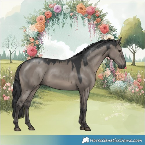 Horse Color:Grullo 