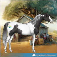 Horse Color:Smoky Black Tobiano Rabicano 