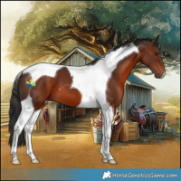 Horse Color:Brown Tobiano 