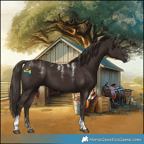 Horse Color:Powder White Liver Chestnut 