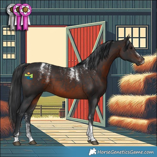 Horse Color:Powder White Brown 