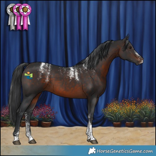 Horse Color:Powder White Brown 