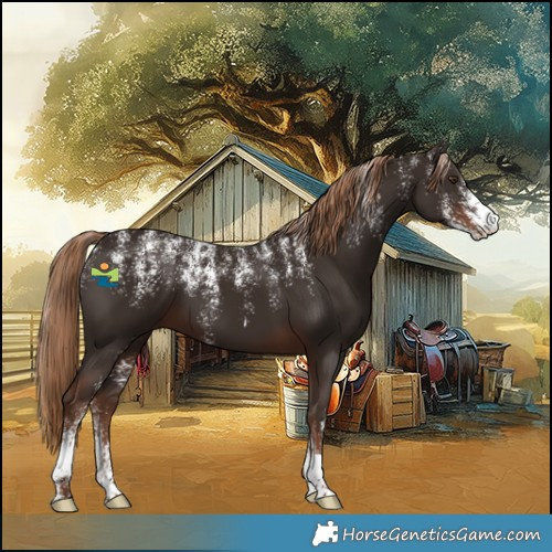 Horse Color:Powder White Liver Chestnut 