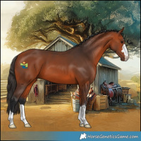 Horse Color:Bay 