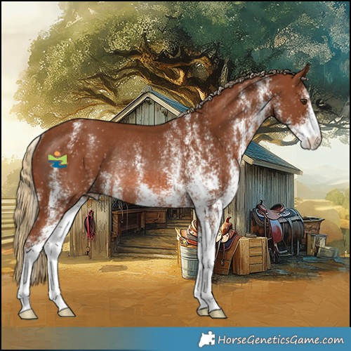 Horse Color:White Spotted Chestnut Rabicano 