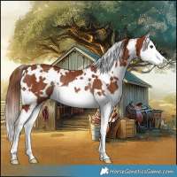 Horse Color:White Spotted Chestnut Splash Rabicano 