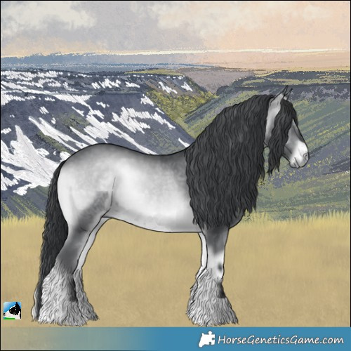 Horse Color:Brown Chinchilla Onyx 