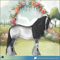Horse Color:Brown Chinchilla Onyx 