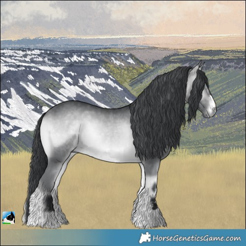 Horse Color:Brown Chinchilla Onyx