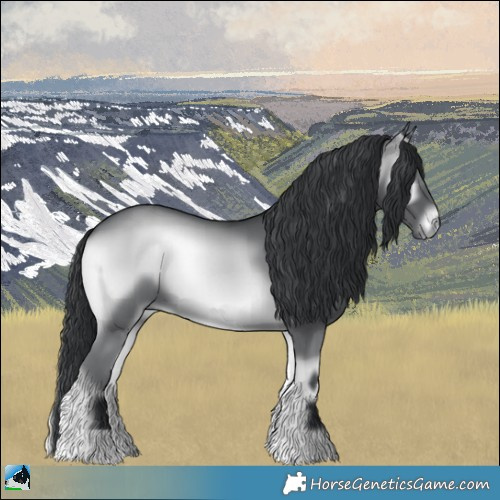 Horse Color:Blue Onyx Chinchilla