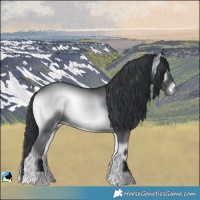 Horse Color:Blue Onyx Chinchilla 