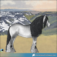 Horse Color:Brown Chinchilla Onyx 