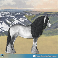 Horse Color:Brown Chinchilla Onyx 