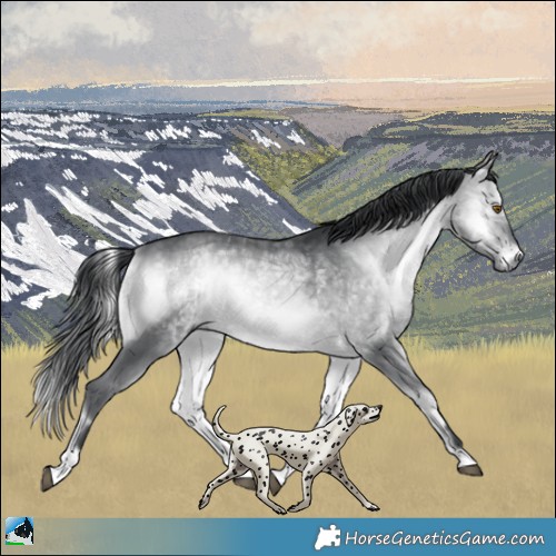 Horse Color:Brown Chinchilla Onyx 