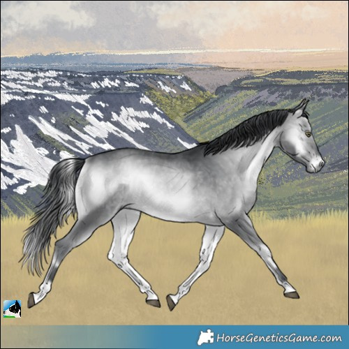 Horse Color:Brown Chinchilla Onyx