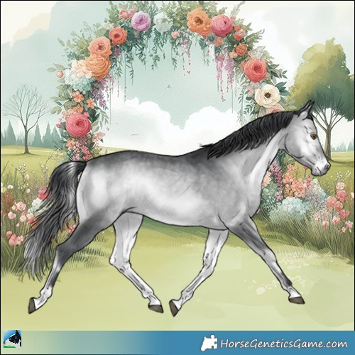 Horse Color:Brown Chinchilla Onyx 