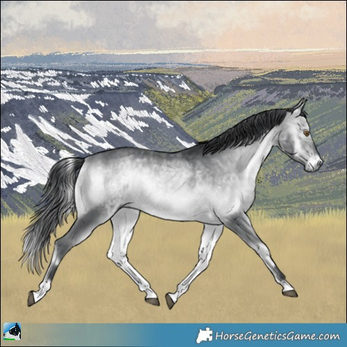 Horse Color:Brown Chinchilla Onyx