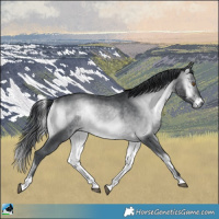 Horse Color:Brown Chinchilla Onyx 