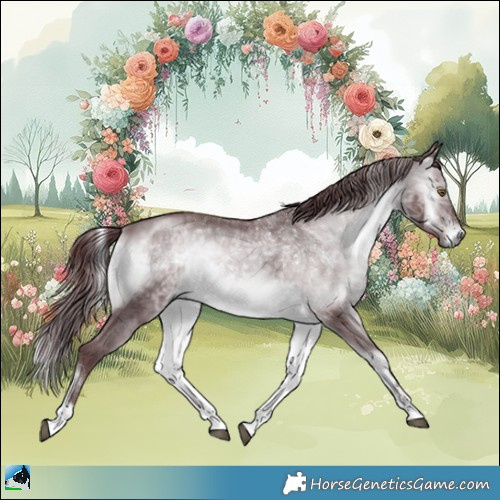 Horse Color:Chocolate Brown Chinchilla Onyx Sabino Rabicano 