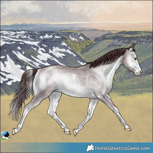 Horse Color:Chocolate Brown Chinchilla Onyx Sabino Rabicano 