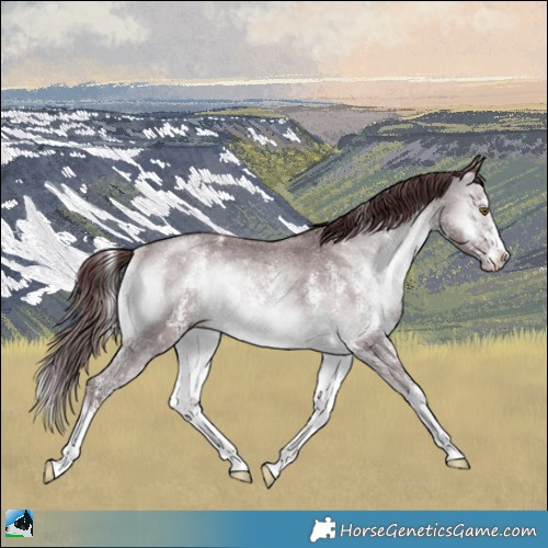 Horse Color:Chocolate Brown Chinchilla Onyx Sabino Rabicano 