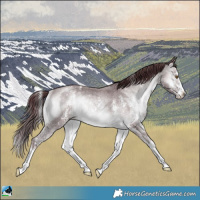Horse Color:Chocolate Brown Chinchilla Onyx Sabino Rabicano 