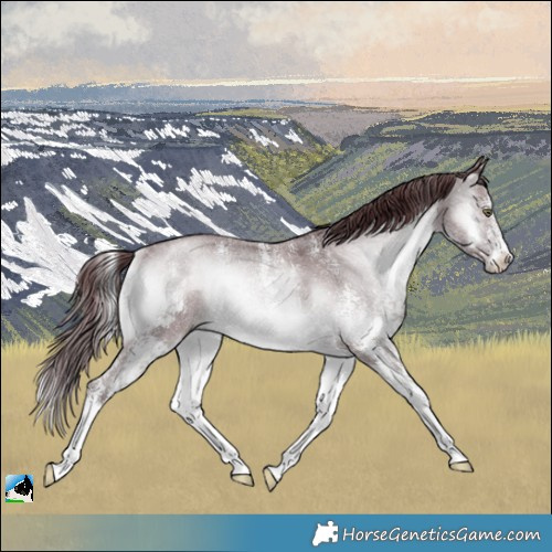 Horse Color:Chocolate Brown Chinchilla Onyx Sabino Rabicano