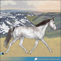 Horse Color:Chocolate Brown Chinchilla Onyx Sabino Rabicano 
