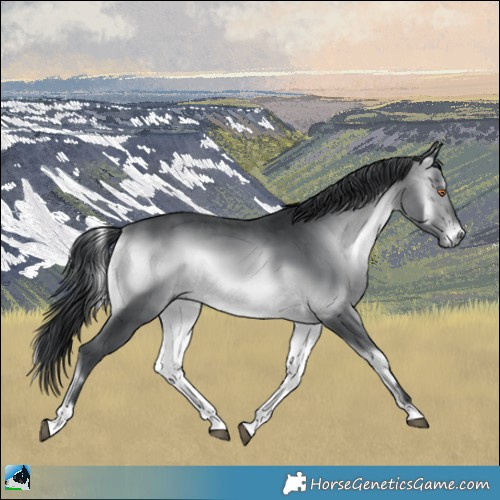 Horse Color:Brown Chinchilla Onyx 