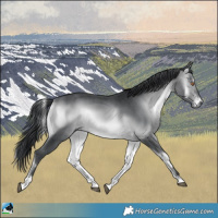 Horse Color:Brown Chinchilla Onyx