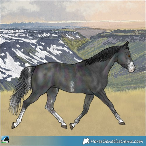 Horse Color:Midnight Brown Chinchilla Ice Onyx Sabino