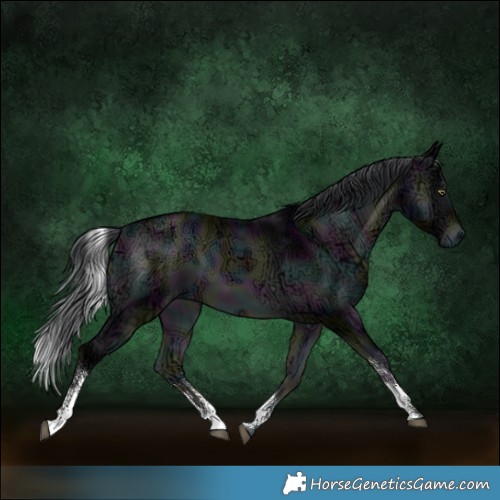 Horse Color:Midnight Brown Chinchilla Ice Onyx Sabino