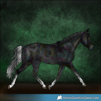 Horse Color:Midnight Brown Chinchilla Ice Onyx Sabino