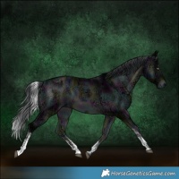 Horse Color:Midnight Brown Chinchilla Ice Onyx Sabino 