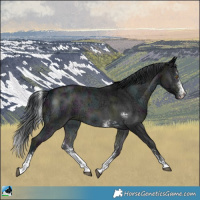 Horse Color:Midnight Brown Chinchilla Ice Onyx Sabino