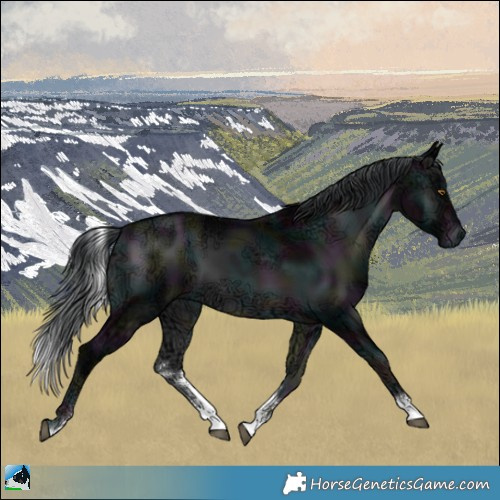 Horse Color:Midnight Brown Chinchilla Ice Onyx Sabino