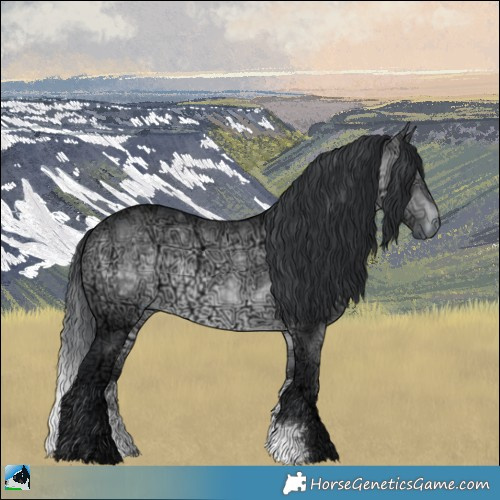 Horse Color:Brown Chinchilla Ice Sabino Rabicano