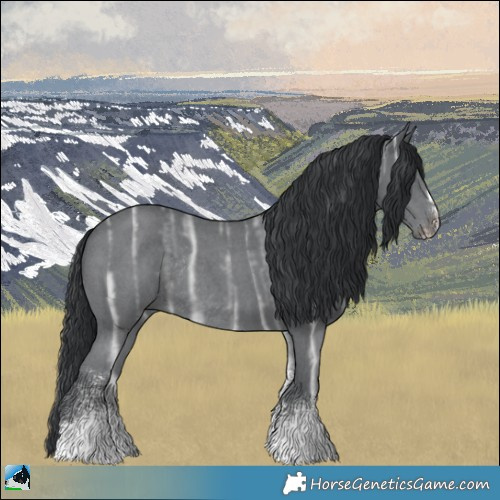 Horse Color:Black Chinchilla Ice Sabino Rabicano