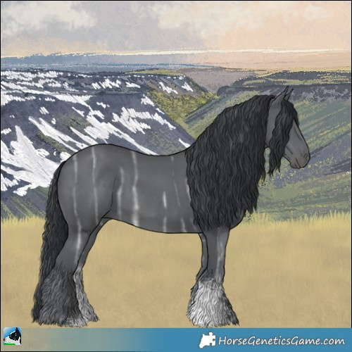 Horse Color:Black Chinchilla Ice Sabino Rabicano 