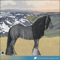 Horse Color:Black Chinchilla Ice Sabino Rabicano 