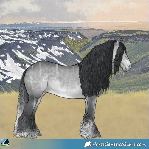 Horse Color:Brown Chinchilla Ice Sabino Rabicano